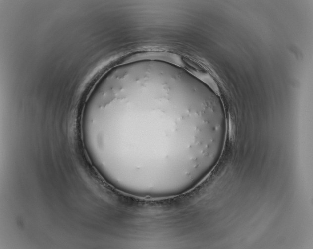 X0000113530531200910091225