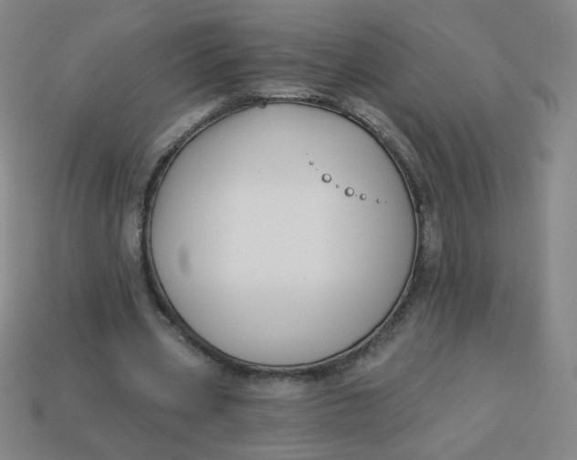 X0000113530533200910091225