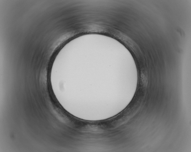 X0000113530534200910091225