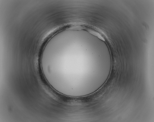 X0000113530535200910091225