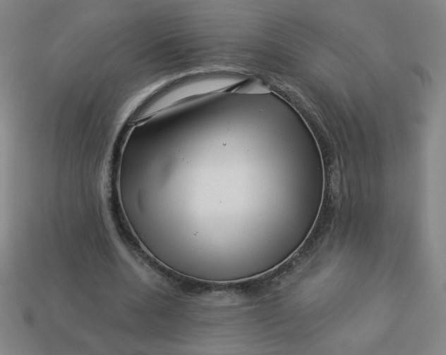 X0000113530536200910091225