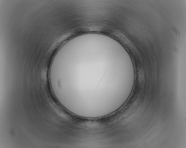 X0000113530537200910091225