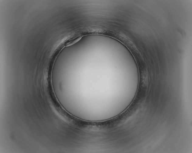 X0000113530538200910091225