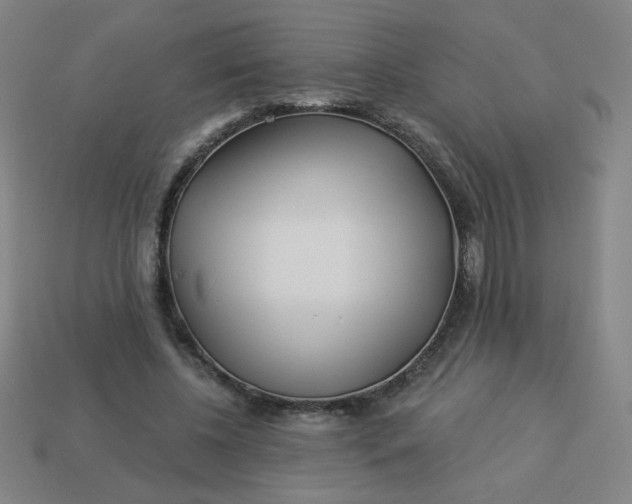 X0000113530540200910091225