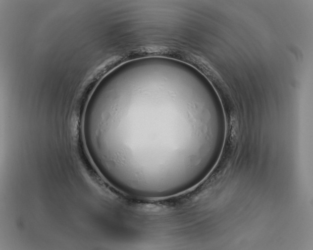 X0000113530542200910091225