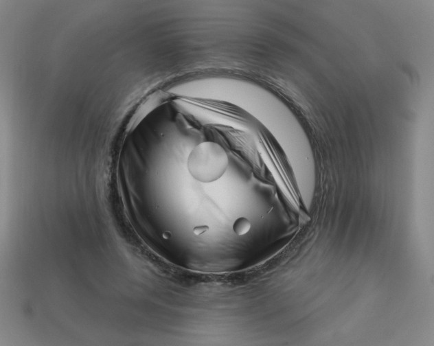 X0000113530544200910091225