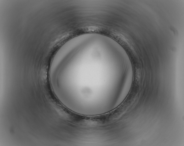 X0000113530545200910091225