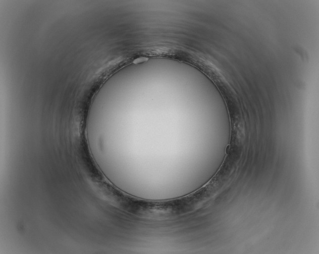 X0000113530546200910091225