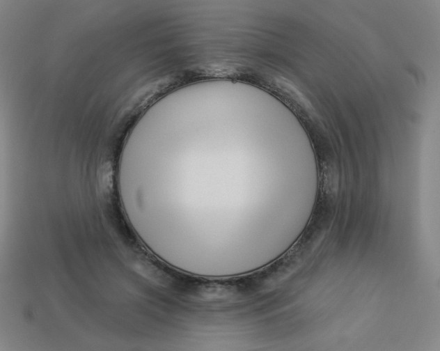 X0000113530549200910091225