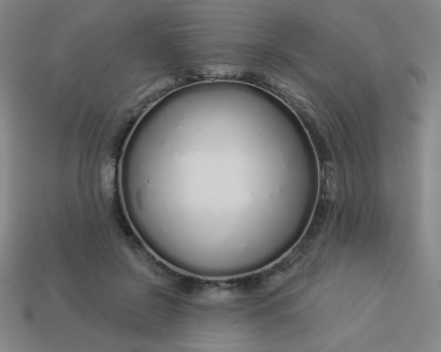 X0000113530550200910091225