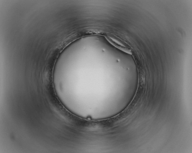 X0000113530551200910091225