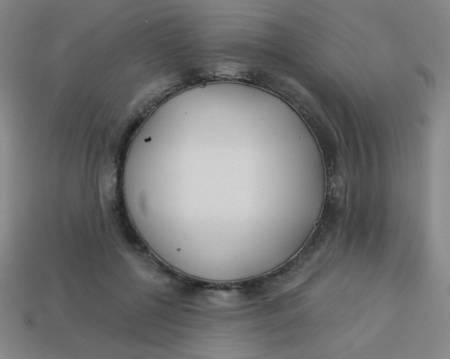 X0000113530552200910091225