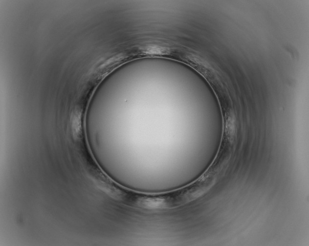 X0000113530554200910091225