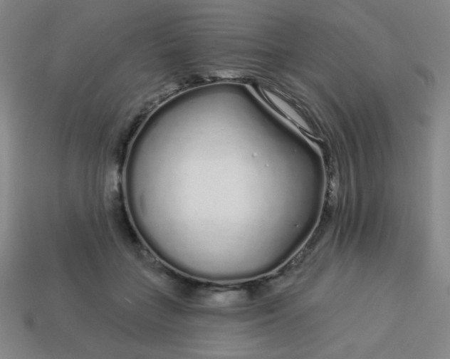 X0000113530555200910091225