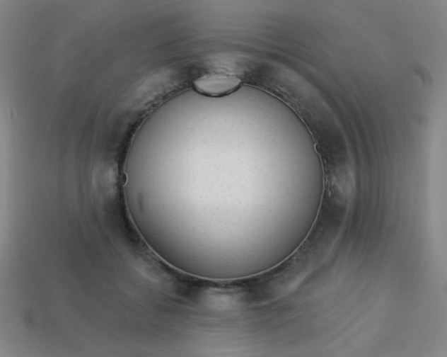 X0000113530556200910091225