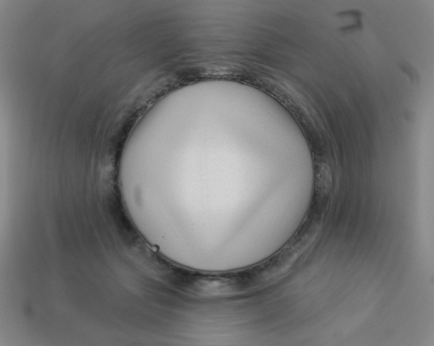 X0000113530557200910091225