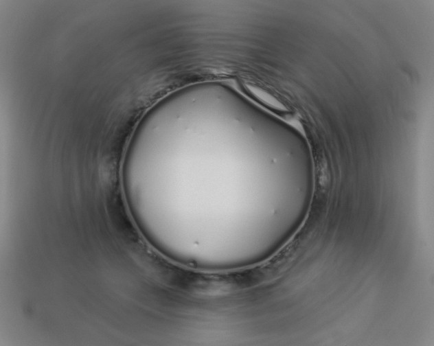 X0000113530559200910091225