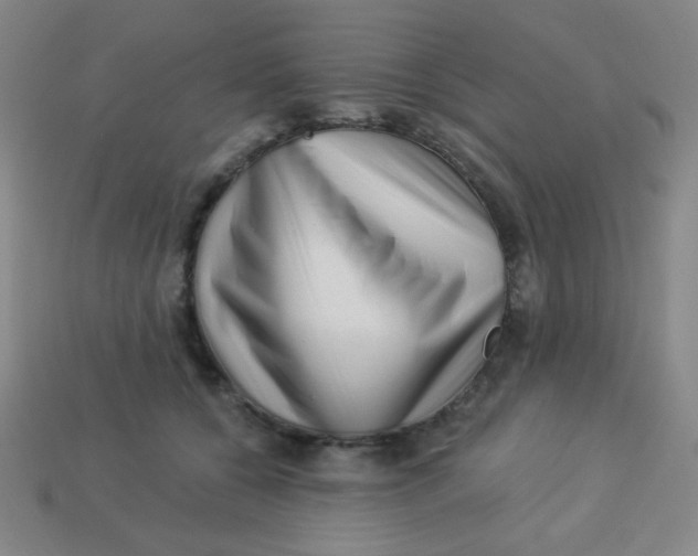 X0000113530560200910091225