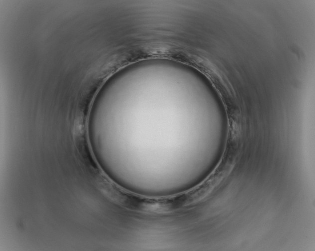 X0000113530561200910091225