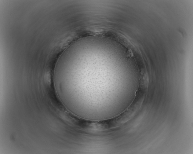 X0000113530562200910091225