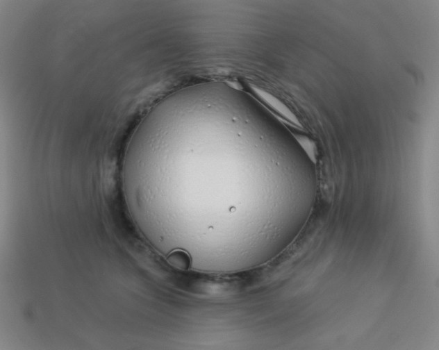 X0000113530563200910091225