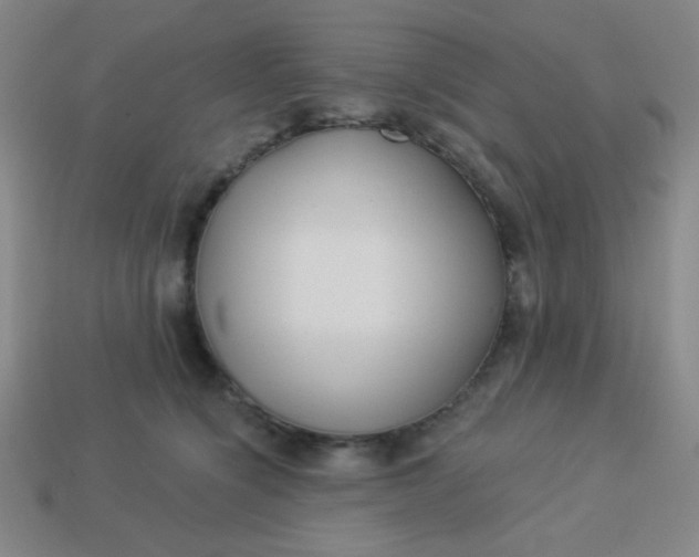 X0000113530564200910091225