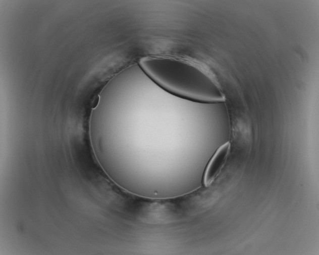 X0000113530566200910091225