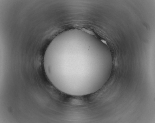 X0000113530567200910091225