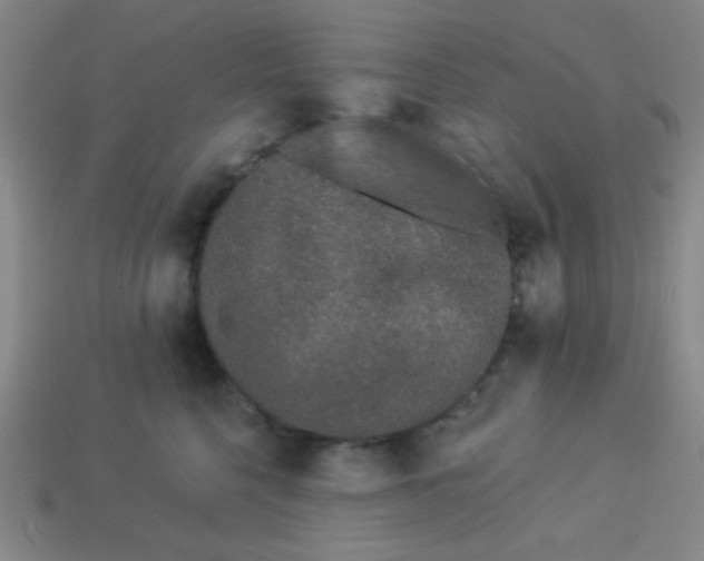 X0000113530568200910091225