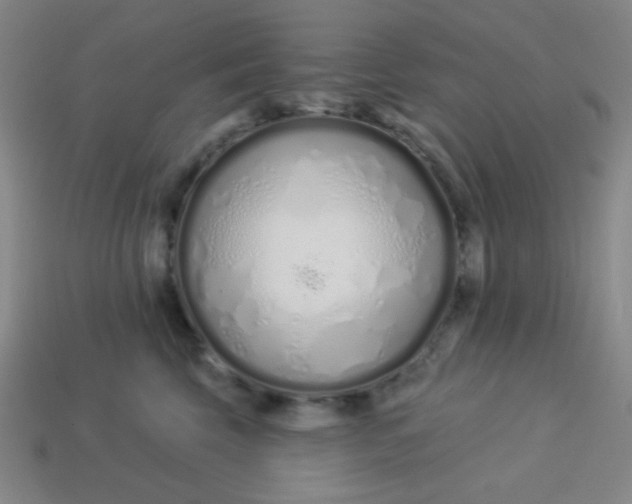 X0000113530569200910091225