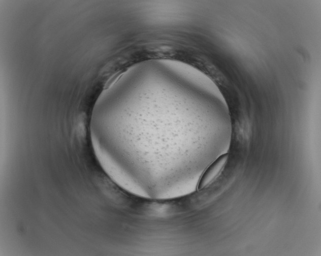 X0000113530570200910091225