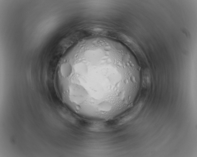 X0000113530573200910091225