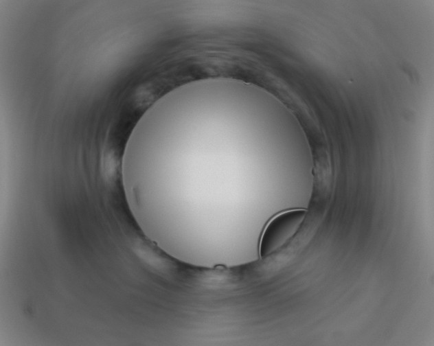 X0000113530574200910091225