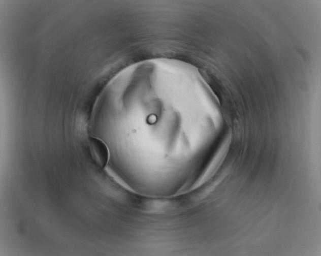 X0000113530575200910091225