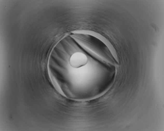 X0000113530576200910091225