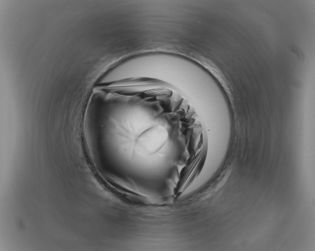 X0000113530577200910091225