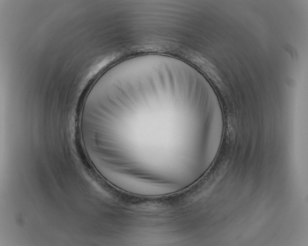 X0000113530578200910091225