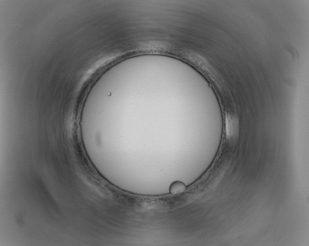 X0000113530579200910091225