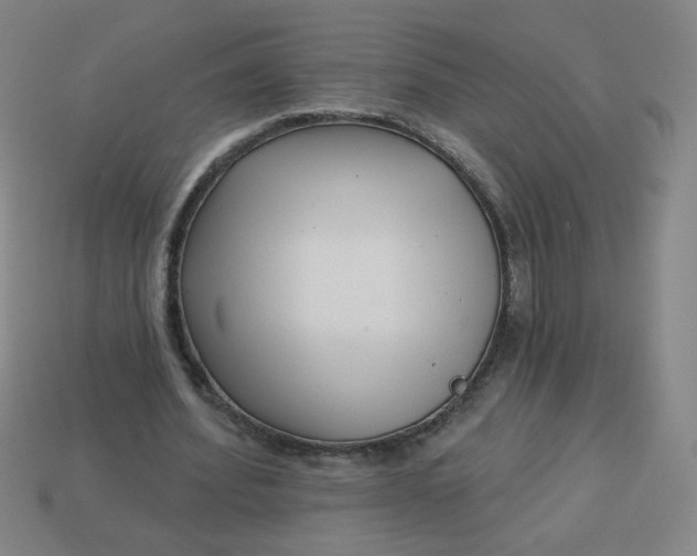 X0000113530580200910091225