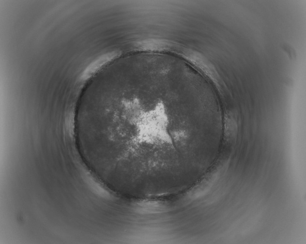 X0000113530581200910091225