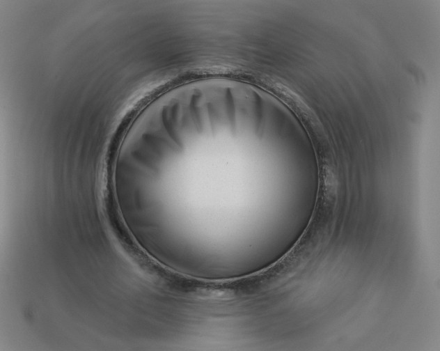 X0000113530582200910091225