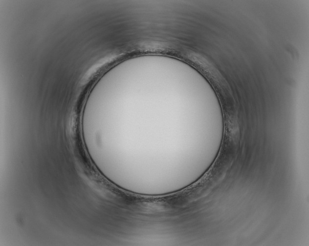 X0000113530583200910091225