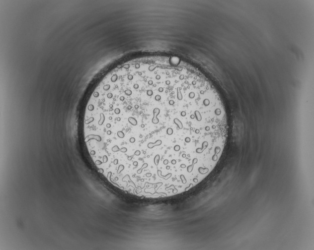 X0000113530584200910091225