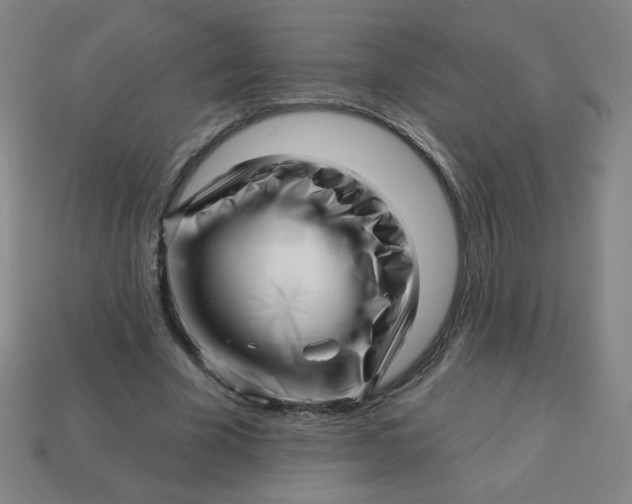 X0000113530585200910091225