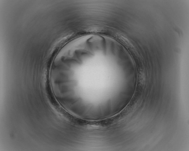 X0000113530586200910091225