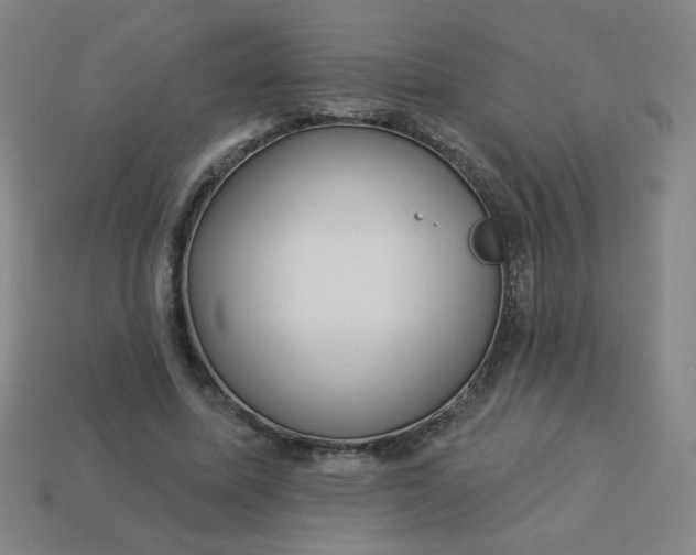 X0000113530587200910091225