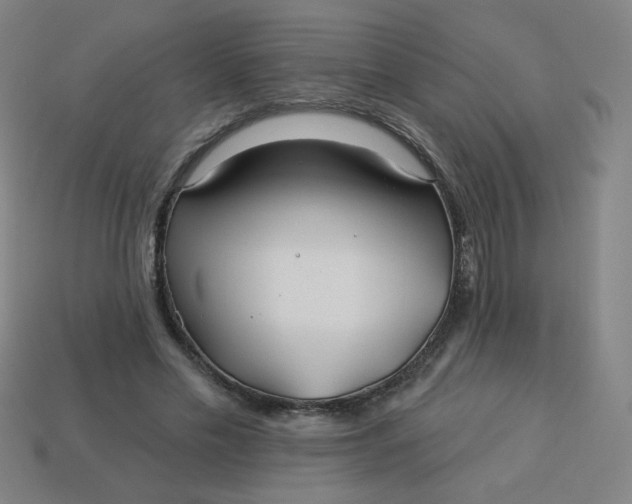 X0000113530589200910091225