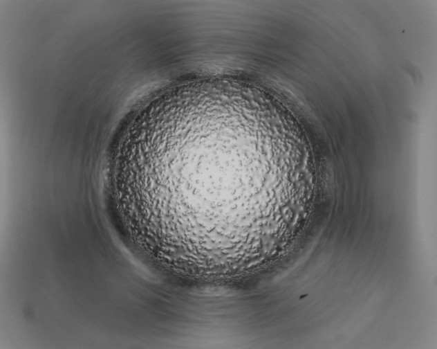 X0000113530590200910091224