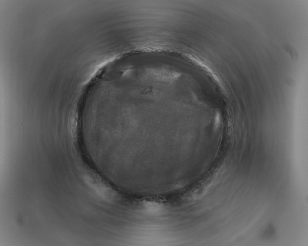 X0000113530592200910091224