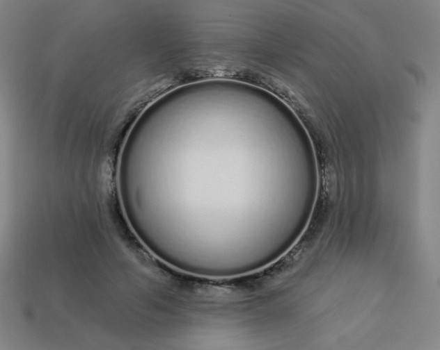 X0000113530594200910091224